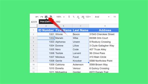 how to view print area in google sheets and what it means for your future career as a writing master